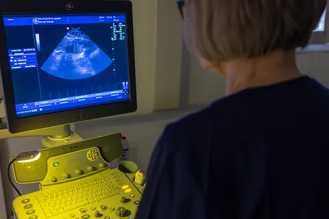 Kompetente Versorgung für Hunde und Katzen.