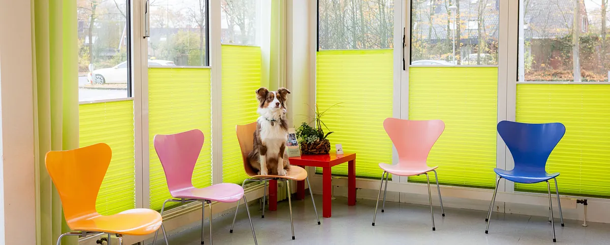 im Wartebereich begrüßt unsere Tierärztin Ihren nächsten Patienten